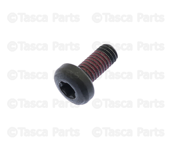 2007-2013 GM Multi-Purpose Bolt 11570519 | TascaParts.com