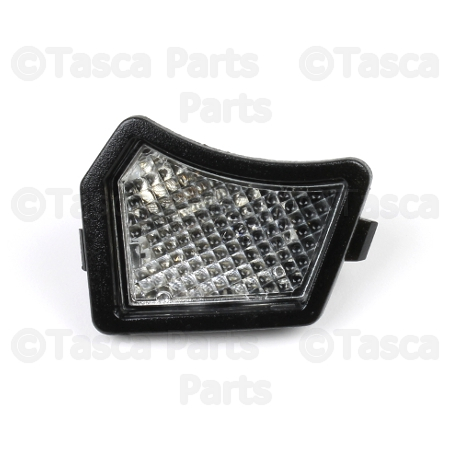 31217838 - : Turn Signal Light Lens for Volvo Image