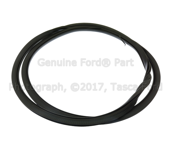 FT4Z58253A10B - Body: Weather-strip On Body for Ford: Edge Image