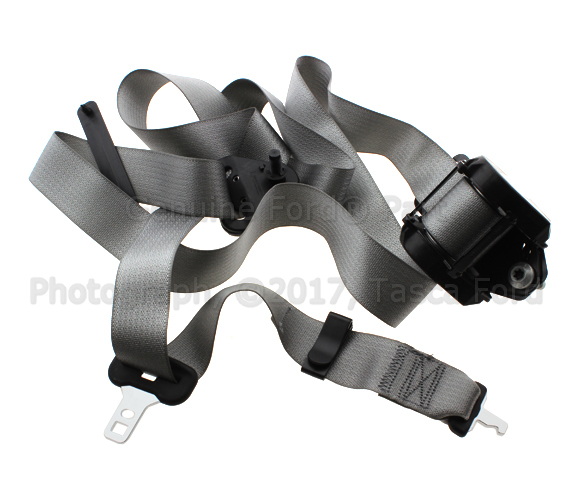 9C2Z16611B68AA - Electrical: Outer Belt Assembly for Ford: E-150, E-250, E-350 Super Duty Image