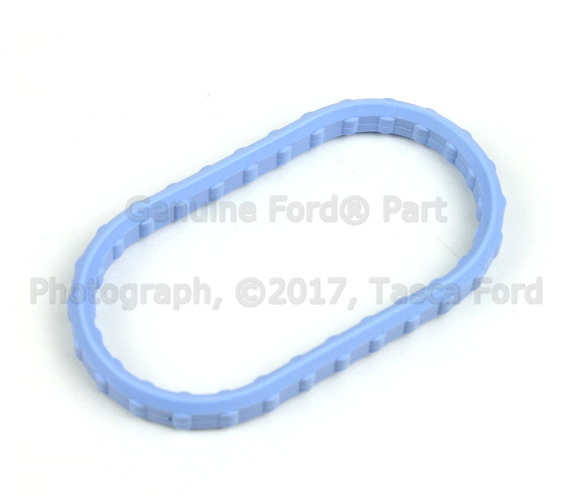 1X4Z9H486AA - Fuel System: Plenum Gasket for Ford Image