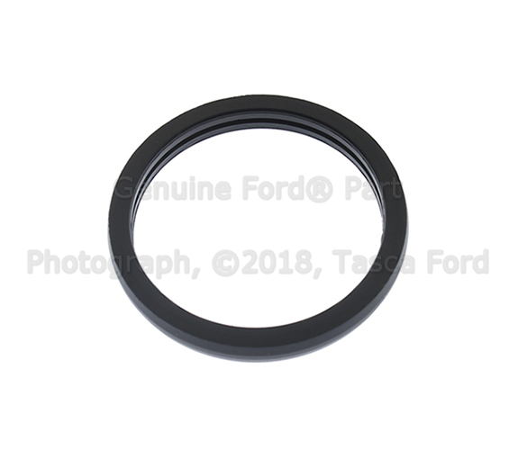 W704553S300 - Cooling System: Thermostat O-Ring for Ford Image