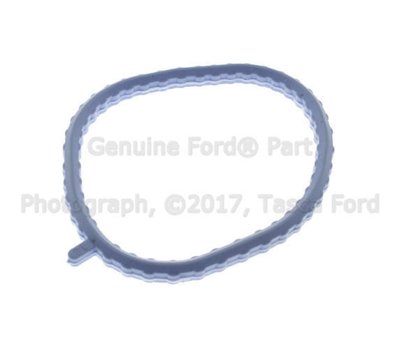 XF2Z9H486AA - Fuel System: Manifold Gasket for Ford Image