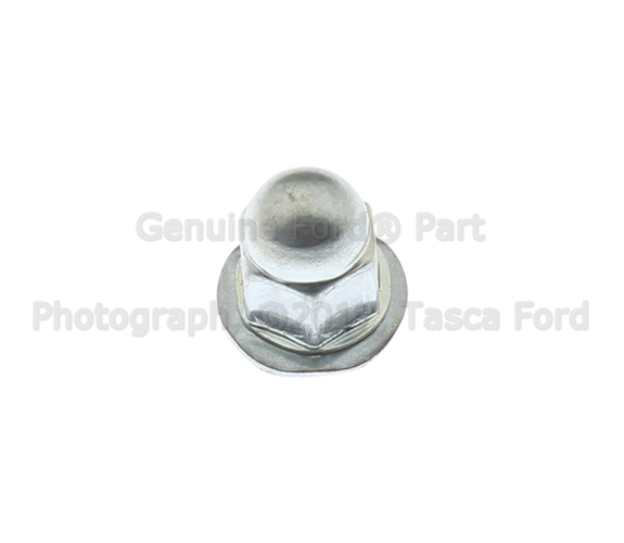 N620365S437 - Body: Rear Glass Nut for Ford: E-150, E-250, E-350 Super Duty Image