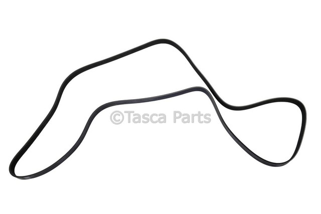 12636138 - : V-Ribbed Serpentine Belt for GM Image