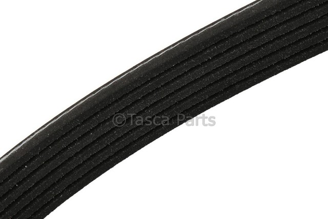 12596249 - : V-Ribbed Serpentine Belt for GM Image