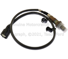 DY1163 - Emission System: Motorcraftâ„¢ Rear Oxygen Sensor for Ford Image