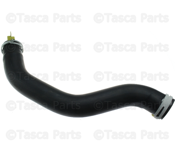55056661AB - Engine 4.7L Eight Cylinder: Radiator Inlet Hose, Lower for Dodge: Ram 1500 Image