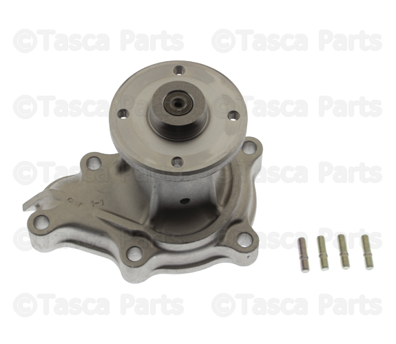 2101002P85 - : Water Pump for Nissan Image