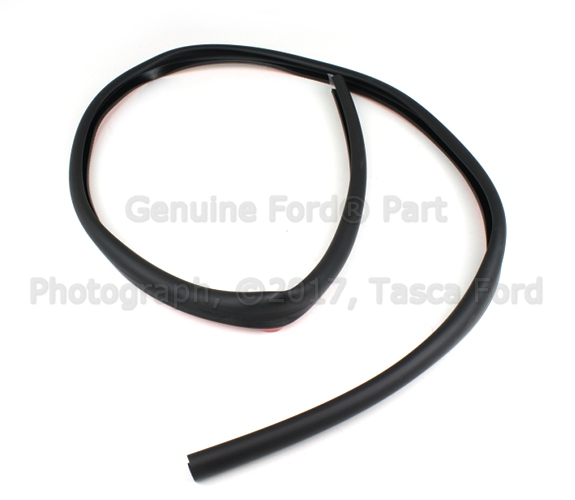 2T1Z1551823D - Body: Upper Weather-strip for Ford: Transit Connect Image