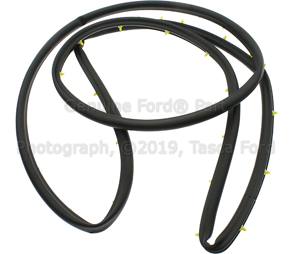CJ5Z7825324A - : Door Weather-Strip - Passenger Side (RH) for Ford Image