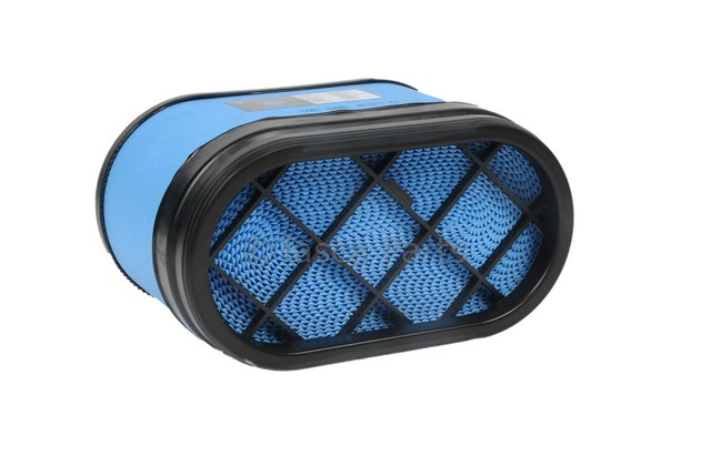 15286805 - : Air Filter for GM Image