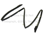 JR3Z16A238B - Body: Front Seal for Ford: Mustang Image