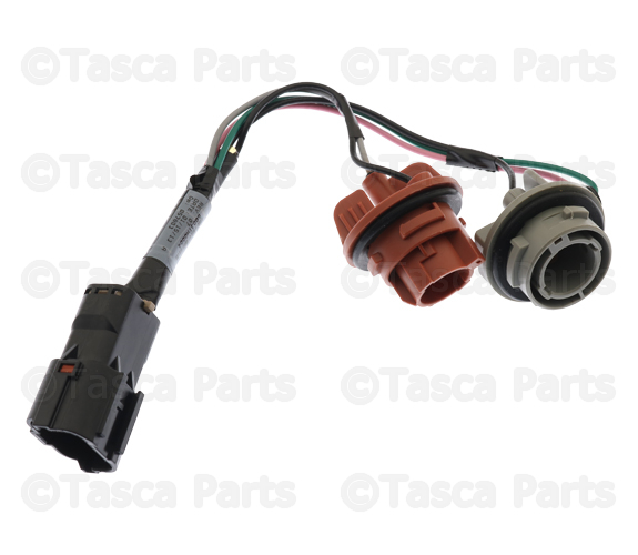 924801U000 - Electrical: Tail Light Socket for Kia Image