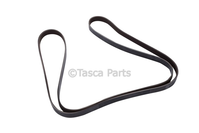 24580771 - : V-Ribbed Serpentine Belt for GM Image