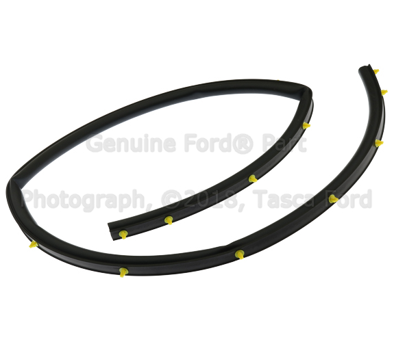 BT4Z16740A - Body: Rear Seal for Ford: Edge | Lincoln: MKX Image