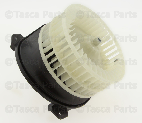 Blower With Wheel Motor 4885475AC | TascaParts.com