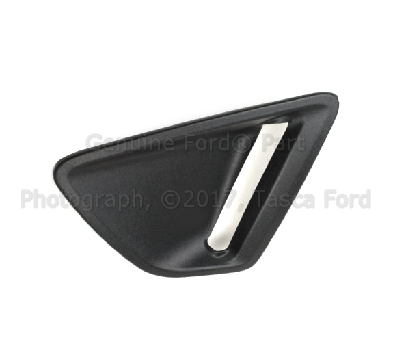 AE8Z17E811CA - : End Cover - Driver's Side (LH) for Ford Image