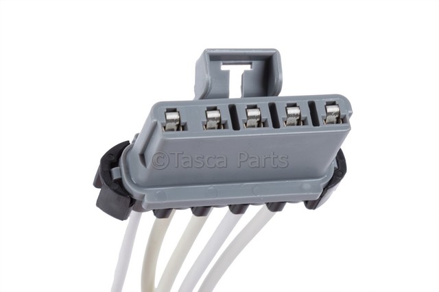 19353534 - : Gray Multi-Purpose Pigtail for GM Image