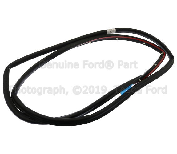 BM5Z58253A11B - Body: Door Weather-strip for Ford Image