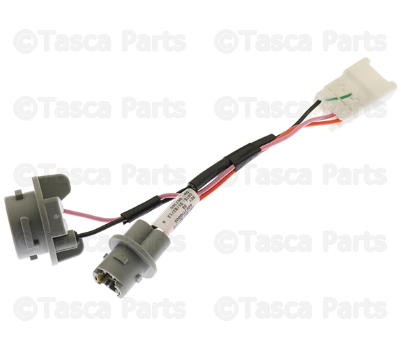 924901U000 - Electrical: Tail Light Socket for Kia Image