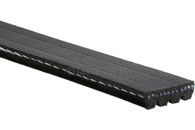 12576446 - Cooling System: AC Belt for Buick: Rainier | Chevrolet: SSR, Trailblazer, Trailblazer EXT | GMC: Envoy, Envoy XL, Envoy XUV Image