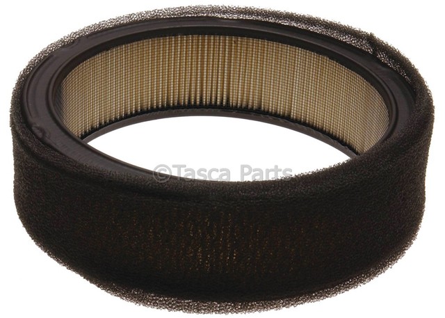 25098766 - Air &amp; Fuel Delivery: Engine Air Filter for GM Image