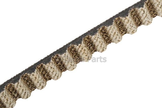 55493234 - Engine: Timing Belt for Cadillac: Escalade, Escalade ESV | Chevrolet: Silverado 1500, Silverado 1500 LTD, Suburban, Tahoe | GMC: Sierra 1500, Sierra 1500 Limited, Yukon, Yukon XL Image
