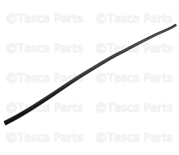 55255723AD - : Windshield Molding for Dodge: Dakota, Durango Image