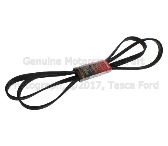 JK81263 - : Motorcraft Serpentine Belt for Ford Image