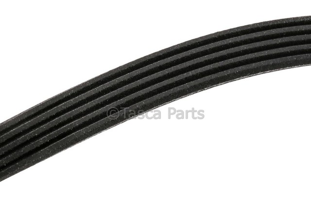 25191144 - : V-Ribbed Serpentine Belt for GM Image