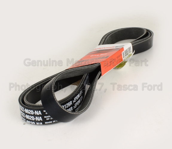 1C2Z8620NA - Cooling System: Serpentine Belt for Ford: Excursion, F-250 Super Duty, F-350 Super Duty, F-450 Super Duty, F-550 Super Duty Image