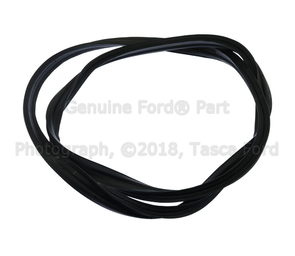 AR3Z6343720A - Body: Weatherstrip for Ford: Mustang Image