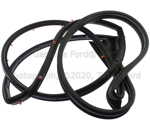 6E5Z5420531AA - Body: Door Weather-strip for Ford: Fusion | Lincoln: MKZ, Zephyr | Mercury: Milan Image