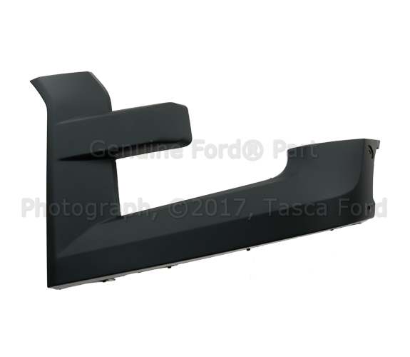 FL3Z17C755CPTM - Body: Trim Molding for Ford: F-150 Image