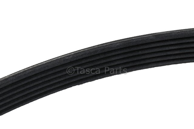 55595700 - : V-Ribbed Serpentine Belt for GM Image