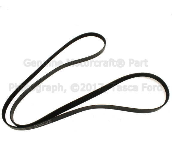 E8TZ8620T - Maintenance &amp; Lubrication: Serpentine Belt for Ford: Bronco, Crown Victoria, F-150, F-250, F-350, Thunderbird | Lincoln: Mark VIII, Town Car | Mercury: Cougar, Grand Marquis Image