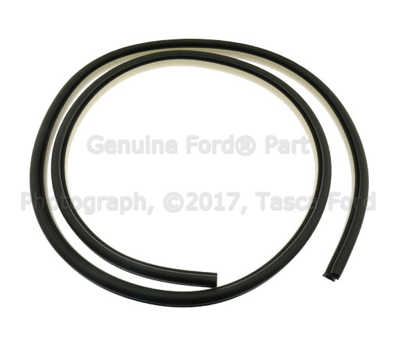 6H6Z54253A10AD - Body: Weather-strip On Body for Ford: Fusion | Lincoln: MKZ, Zephyr | Mercury: Milan Image
