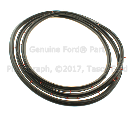 F65Z1520531AA - Body: Door Weather-strip for Ford: F-150, F-150 Heritage, F-250 Image