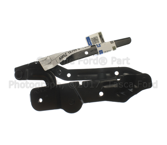 AM5Z16796C - Body: Hinge for Ford Image