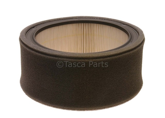 25043585 - : Air Filter for GM Image