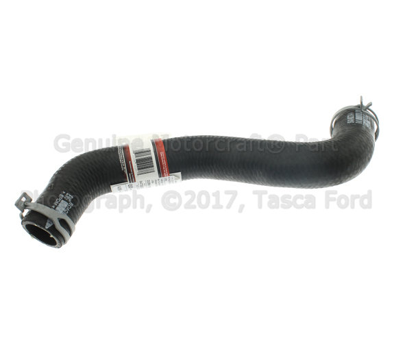 8S4Z8286A - Cooling System: Lower Hose for Ford: Focus Image