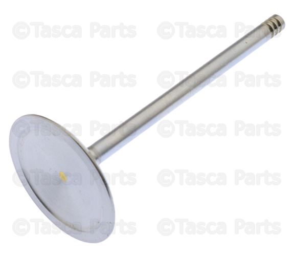 5038331AB - 6.2L Gas; Engine: Intake Valve, Right Cylinder Head for Mopar Image