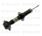 22811853 - Suspension: Strut for GM Image