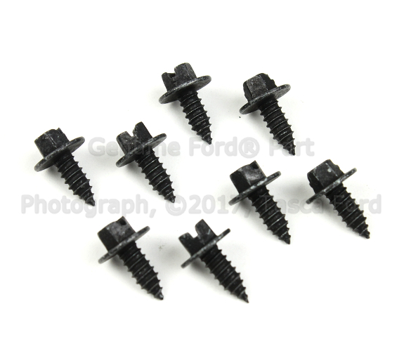 XR3Z17A386BA - Body: License Bracket for Ford: Mustang Image