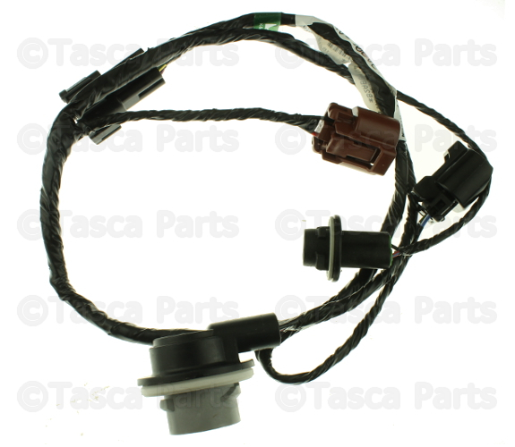 26242ZC00A - Electrical: Socket &amp; Wire for Nissan Image