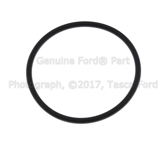 W702041S300 - Cooling System: Thermostat O-Ring for Ford: Ranger Image
