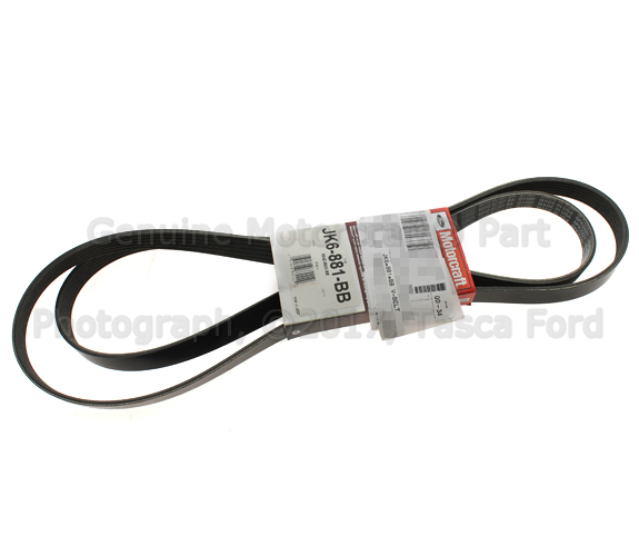 8S4Z8620BB - Cooling System: Serpentine Belt for Ford: Focus, Transit Connect Image