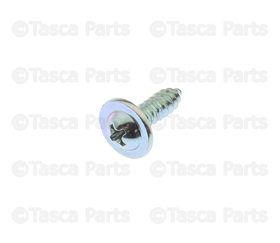 1249205161 - Body: Door Trim Panel Screw for Kia Image