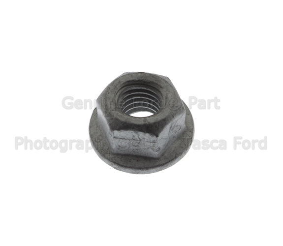 N620480S438 - Body: Handle, Outside Nut for Ford: F-150 Image